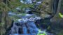 【お花見】濃溝の滝と亀岩の洞窟